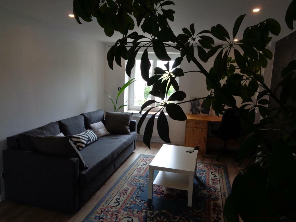 Appartement Independant Le Panassa, Centre Ville, Garage Prive Сент-Етьєн Екстер'єр фото