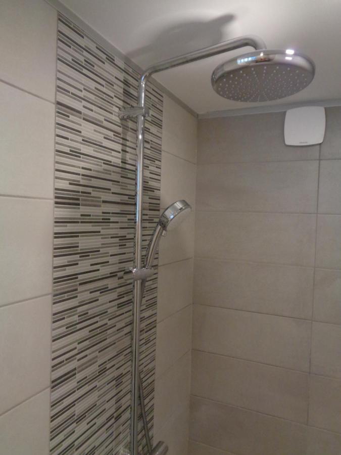 Appartement Independant Le Panassa, Centre Ville, Garage Prive Сент-Етьєн Екстер'єр фото